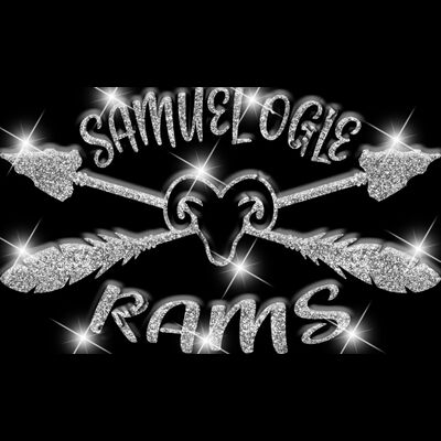 GLT65   SILVER GLITTER Thumbnail